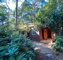 Idyllisches Waldhaus nahe Steinhuder Meer - Erkrath