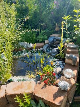 Foto - Grundst&uuml;ck zur Miete in Chemnitz