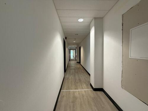 Foto - andere in Dresden