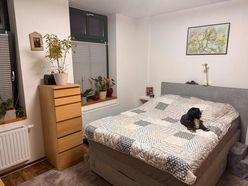 Foto - Etagenwohnung in Plau am See zur Miete