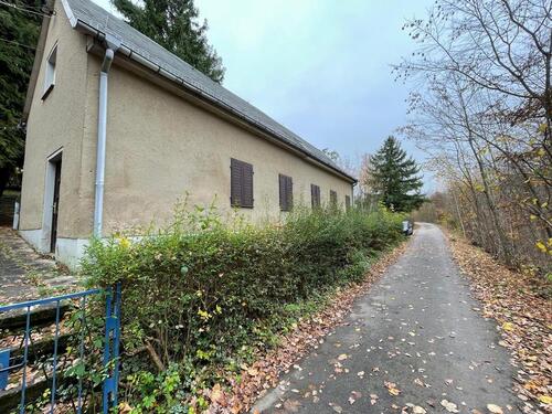 Foto - Einfamilienhaus in Döbeln zum Kaufen