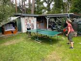 Foto - andere in Bad Saarow zur Miete