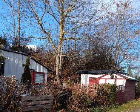 Foto - 2 Zimmer Einfamilienhaus zum Kaufen in Sonnenbühl