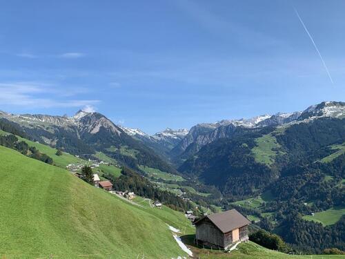 Foto - andere in Saulheim