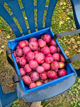 Foto - Grundst&uuml;ck in Leipzig zur Miete
