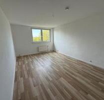 1 Zimmer Wohnung 50 m2 in Treptow S Bahn Schöneweide zu vermieten - Berlin Neukölln