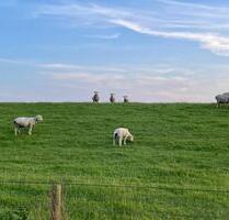 Warmmiete - Die Nordsee als Nachbar im Bungalow mit Weitblick - Norden