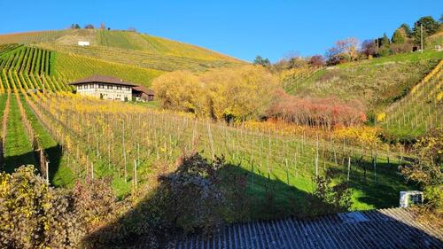 Foto - 2-Zimmer Whg nach Sanierung am Weinberg 