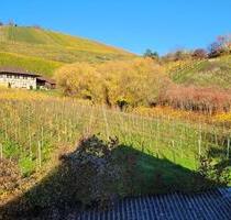 2-Zimmer Whg nach Sanierung am Weinberg | Mitgestalten möglich - Stuttgart Luginsland