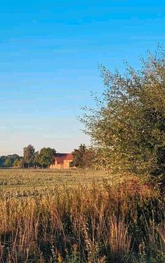 Foto - Einfamilienhaus zum Kaufen in Lübz