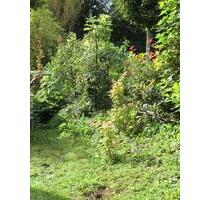 Neuwertige 2,5 Z EG-Whg, Echtholzparkett, umgeben von Gärten - Weingarten