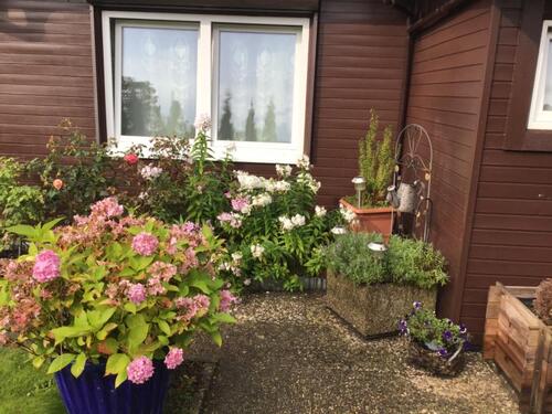 Foto - Einfamilienhaus zum Kaufen in Tespe