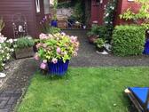 Foto - Einfamilienhaus in Tespe zum Kaufen