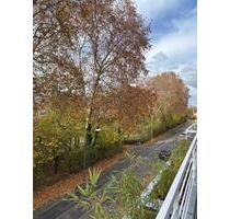 4-Zimmer-Wohnung in Friesenheim - Ludwigshafen am Rhein Ludwigshafen-Hemshof