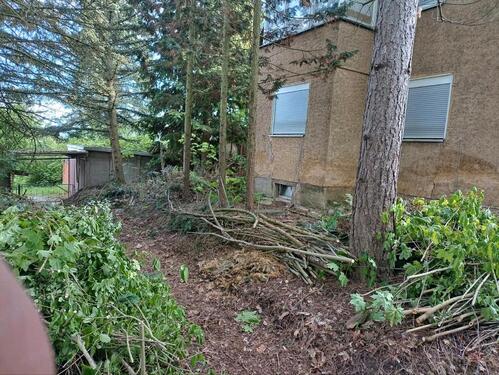 Foto - Einfamilienhaus in Gera zum Kaufen