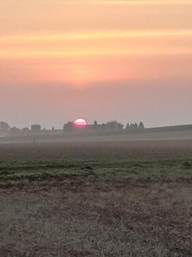 Foto - kleine Halle, Garage, Stellplatz
