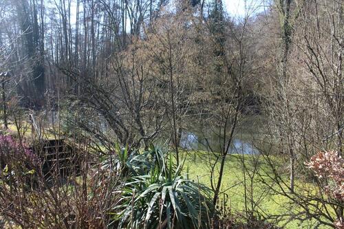 Foto - Doppelhaushälfte in Neuwied zum Kaufen