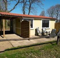 Ferienhaus, Nordsee Nähe, v. Tiere, angeln, Kutschf. Reiten - Delve