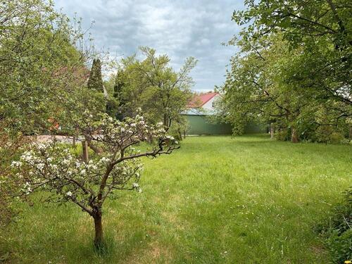 Foto - 6 Zimmer Einfamilienhaus zum Kaufen in Königsbrück