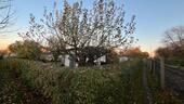 Foto - Schöner Kleingarten in BrockwitzCoswig abzugeben