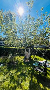 Foto - Grundstück in Coswig