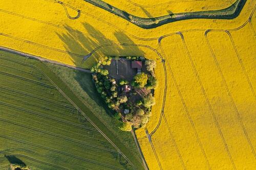Foto - Ländliches Holzhaus Grundstücksfläche 7.000 m²