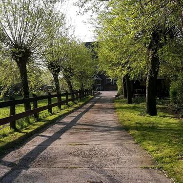 Foto - 3.5 Zimmer Etagenwohnung zur Miete in Erwitte