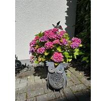 VORSCHAU: Wohnung ab 072026 zu vermieten - SENIORENFREUNDLICH ! - Waldbreitbach