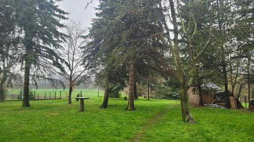 Foto - Renovierte, helle 3-Raum-Wohnung mit Garten und StellplatzGarage