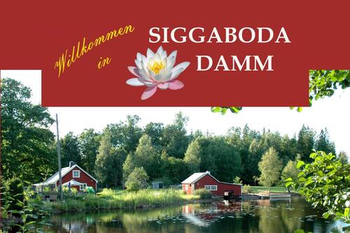 Foto - Großes Haus am See Småland noch frei 16. - 23. August 25