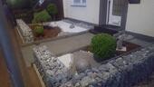 Foto - 5 Zimmer Reihenhaus zum Kaufen in Lübbecke
