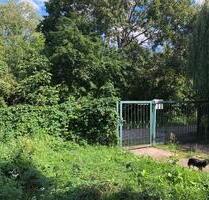 1 - 2 Fam. Haus ,8 Zi. , Keller , Tiefgarage ,erweiterbar - Werder (Havel)