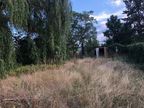 Foto - Einfamilienhaus in Werder (Havel) zum Kaufen