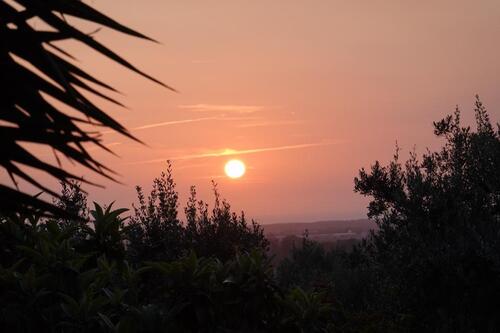Foto - andere zur Miete in Sulingen