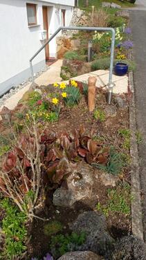 Foto - 2 Zimmer Etagenwohnung zur Miete in Mittelbiberach