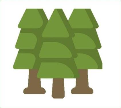 Foto - 7.015 m² Waldfläche in Schönborn