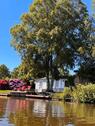 Foto - Einfamilienhaus in Südbrookmerland zum Kaufen