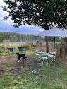 Foto - 1.5 Zimmer Einfamilienhaus zum Kaufen in Büchen