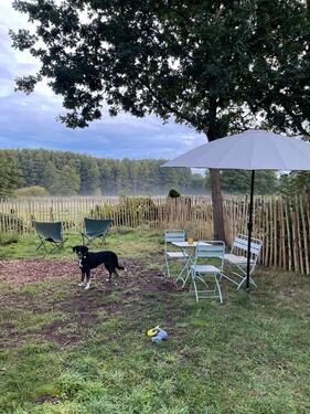 Foto - 1.5 Zimmer Einfamilienhaus zum Kaufen in Büchen