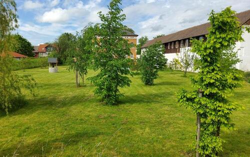 Foto - Villa in Osterwieck zum Kaufen