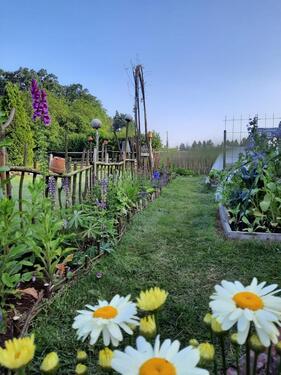 Foto - Etagenwohnung in Visselhövede zur Miete