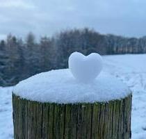 Ferienwohnung in WINTERBERG Niederfeld - Marl