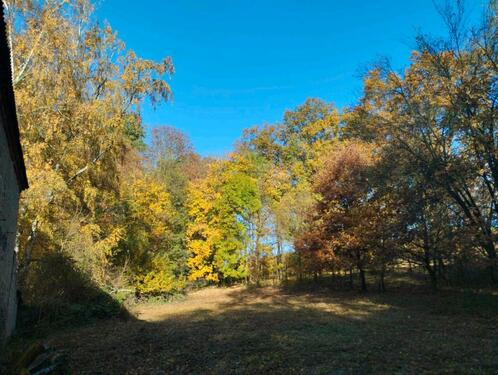Foto - 10 Zimmer Einfamilienhaus in Döbeln