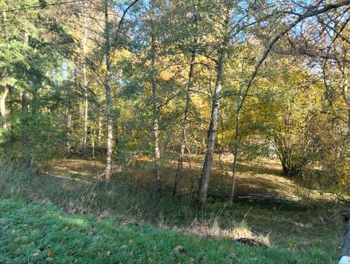Foto - Einfamilienhaus in Döbeln zum Kaufen