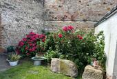 Foto - Einfamilienhaus in Wanzleben-Börde zum Kaufen