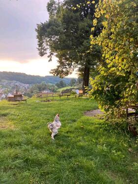 Foto - andere zur Miete in Simmelsdorf