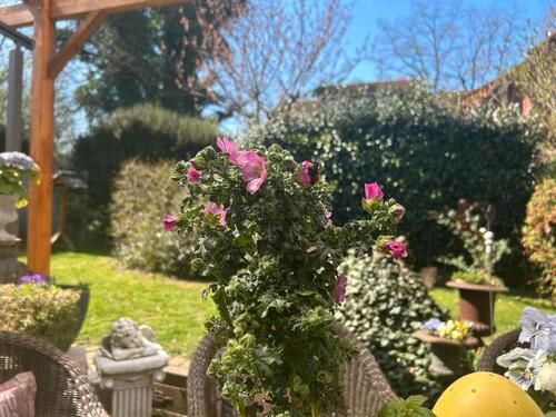 Foto - 4 Zimmer Bungalow zum Kaufen in Büchen