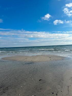 Foto - Storno Ostsee Urlaub Scharbeutz Ferienhaus Karneval