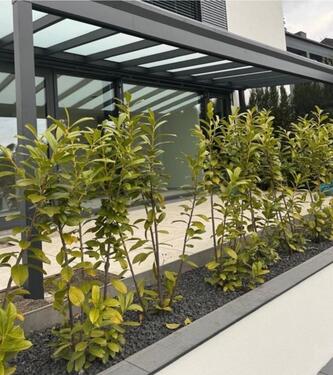 Foto - Luxuriöses 3 Zimmer Neubauwohnung Erstbezug