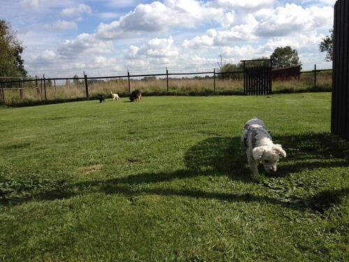 Foto - andere zur Miete in Königslutter am Elm